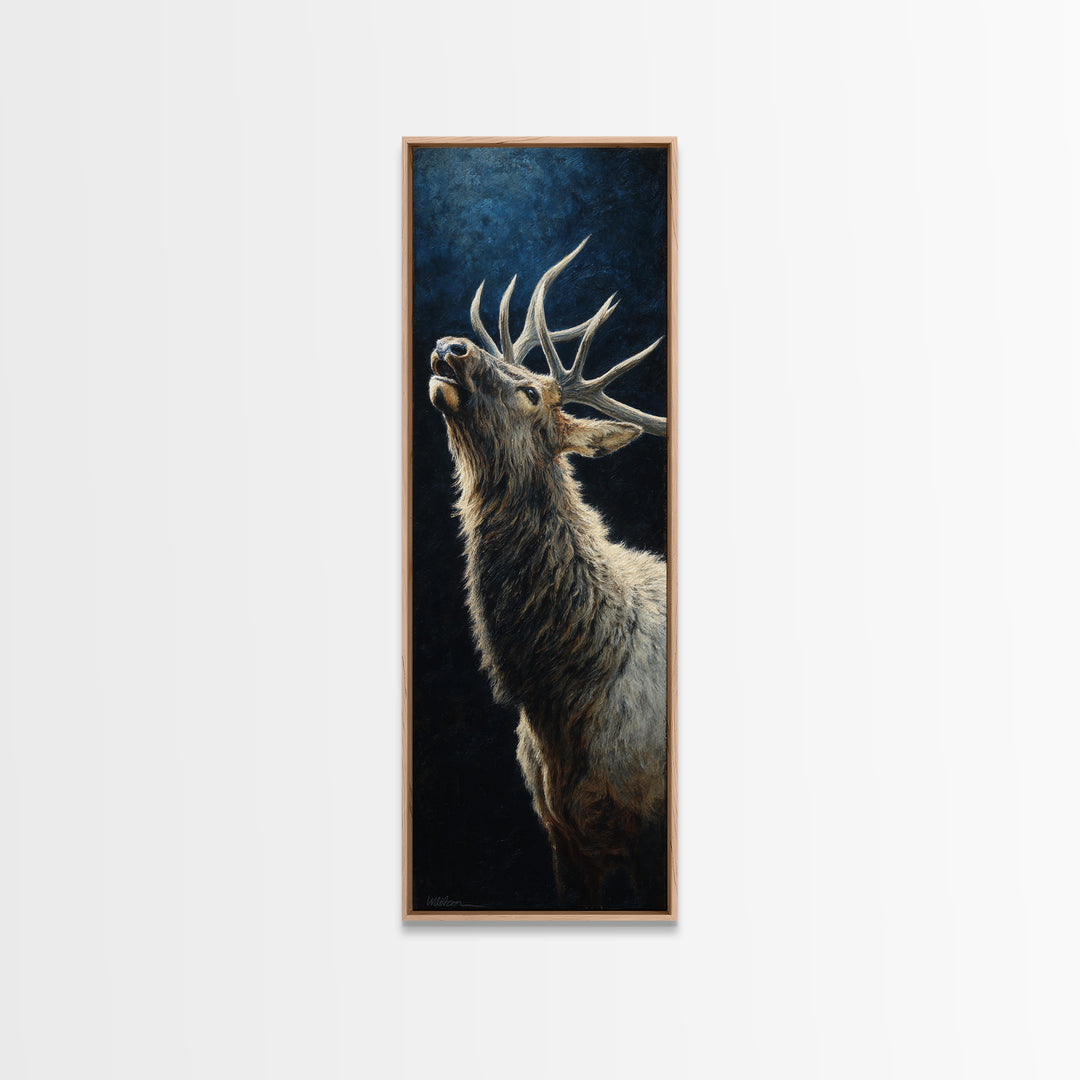 Bear Painting Stars Onto the Night Sky Canvas Print, Whimsical Art, Pet Portrait, Living Room Decor, Fine Art, Wonder, WHI-1x3-93