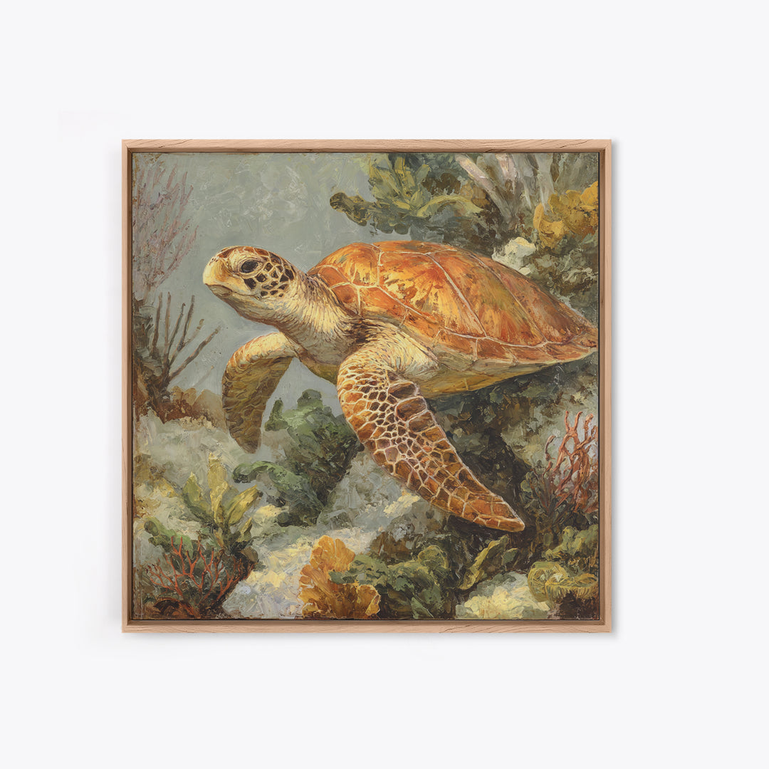 Sea Turtle over Coral Reef Canvas Print, Wildlife Art, Living Room Wall Art, Living Room Decor, Wild, Unique Home Decor, WIL-1x1-18