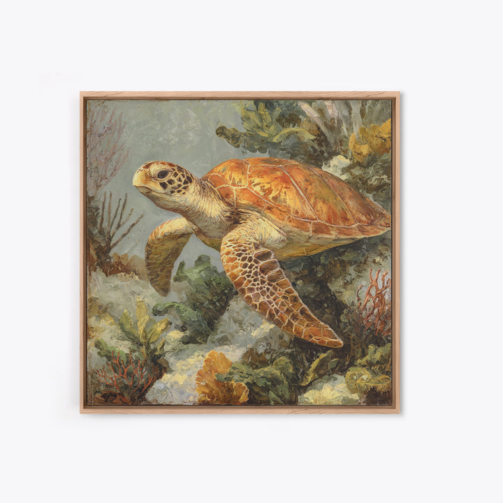 Sea Turtle over Coral Reef Canvas Print, Wildlife Art, Living Room Wall Art, Living Room Decor, Wild, Unique Home Decor, WIL-1x1-18