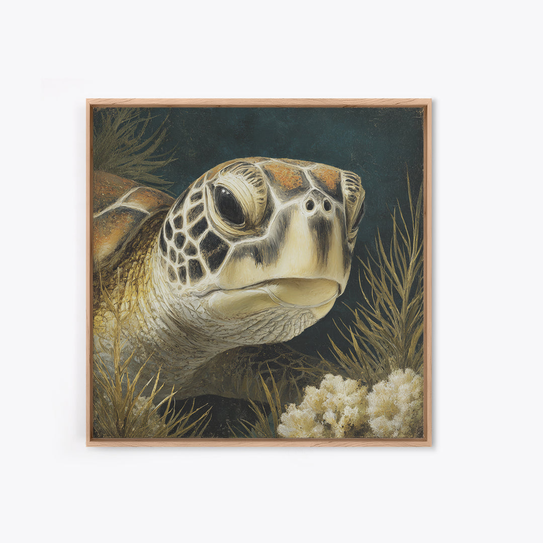 Sea Turtle over Coral Reef Framed Canvas Print, Wildlife Art, Digital Download Art, Living Room Decor, Abstract Art, Wild, WIL-1x1-42