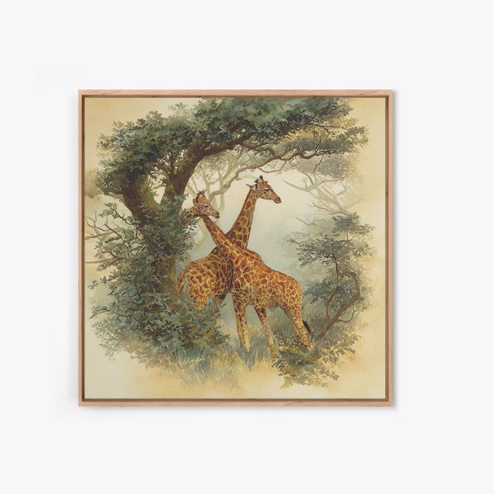 Giraffe Pair under Acacia Tree Framed Canvas Print, Wildlife Art, Living Room Decor, Fine Art, Wild, Living Room Art, WIL-1x1-7