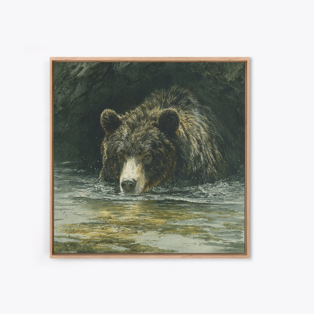 Bear Fishing in Rushing Mountain River Canvas Print, Wildlife Art, Canvas Painting, Living Room Decor, Fine Art, Wild, WIL-1x1-76