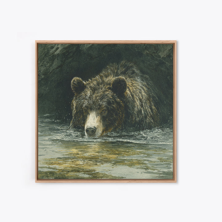 Bear Fishing in Rushing Mountain River Canvas Print, Wildlife Art, Canvas Painting, Living Room Decor, Fine Art, Wild, WIL-1x1-76