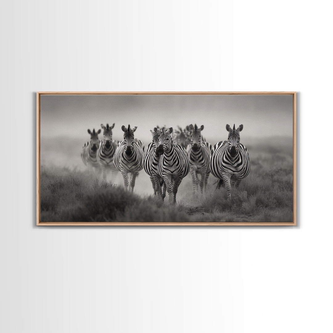 Zebra Herd in Graphic Black and White Framed Canvas Print, Wildlife Art, Boho Wall Decor, Living Room Decor, Fine Art, Wild, WIL-2x1-55