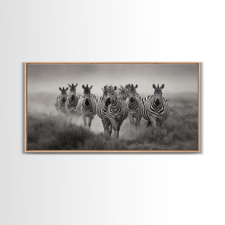 Zebra Herd in Graphic Black and White Framed Canvas Print, Wildlife Art, Boho Wall Decor, Living Room Decor, Fine Art, Wild, WIL-2x1-55
