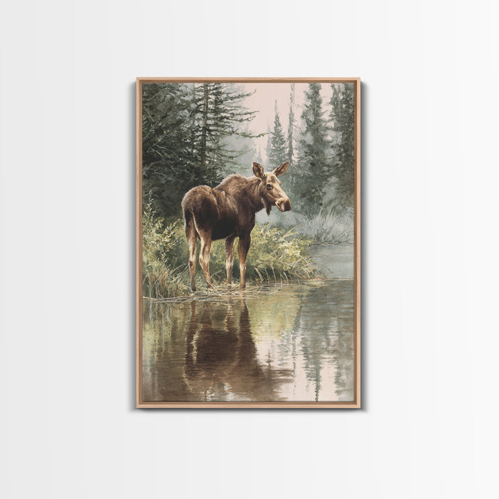 Moose Standing in Reflective Lake Framed Canvas Print, Wildlife Art, Room Decor, Living Room Decor, Fine Art, Wild, WIL-2x3-51