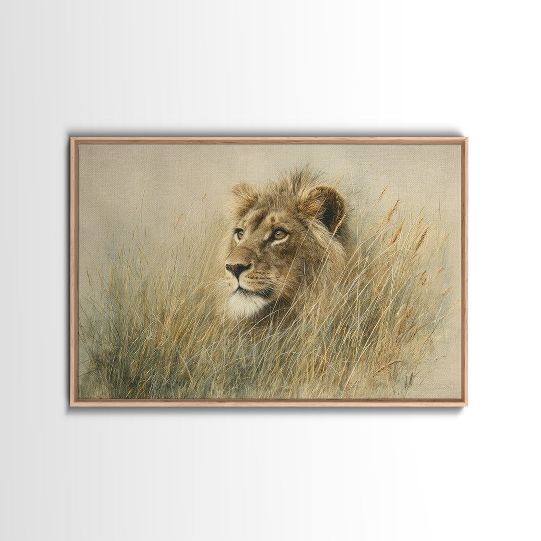 Lion Emerging from Golden Savanna Grass Framed Canvas Print, Wildlife Art, Gallery Decor, Living Room Decor, Fine Art, Wild, WIL-3x2-77