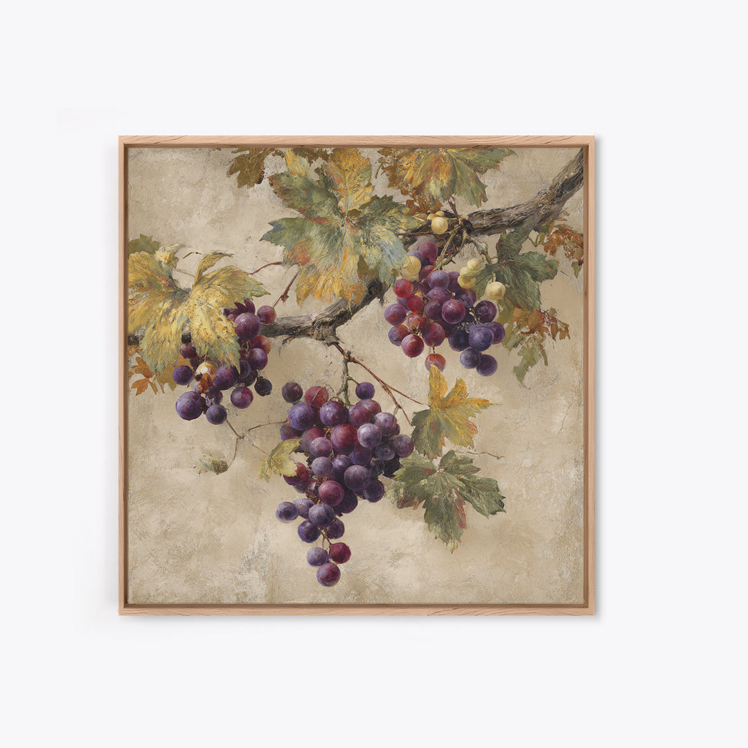 Grapevine Branch with Purple Grapes and Leaves Framed Canvas Print, Winery Art, Home Decor, Winery Decor, Fine Art, Vineyard, WIN-1x1-73