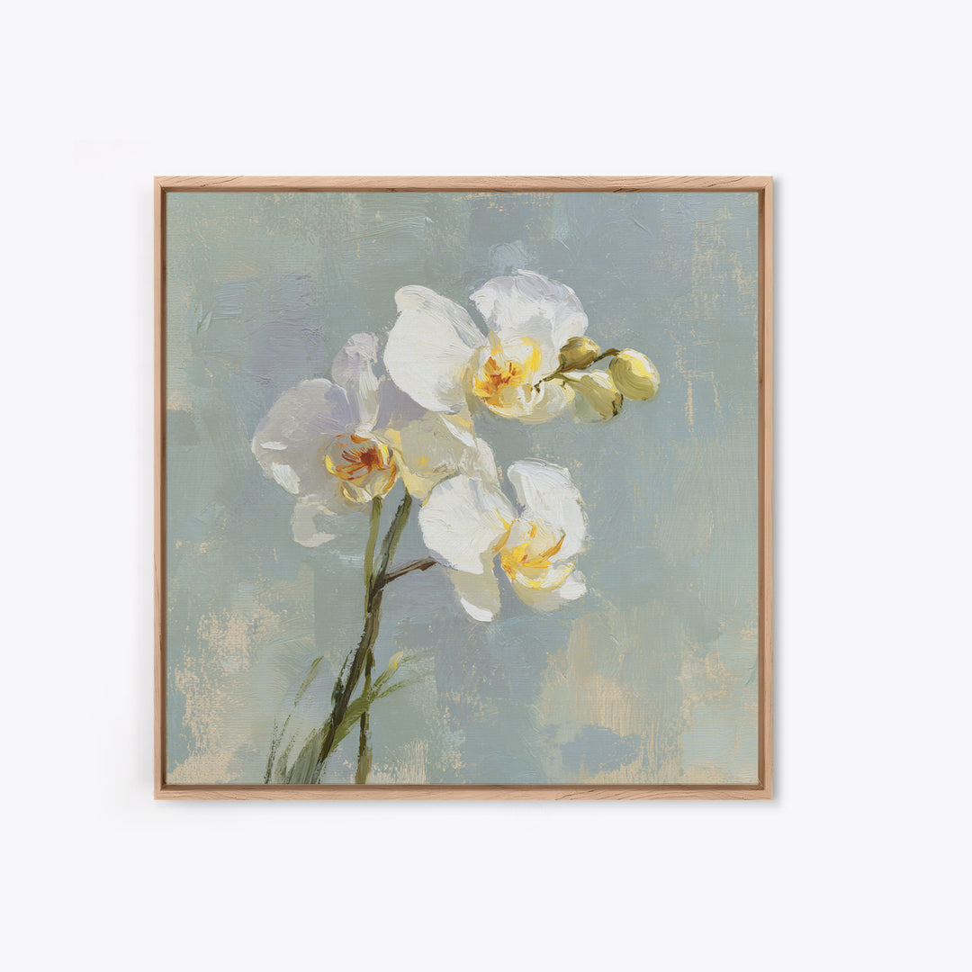 White Orchid on Light Gray Ground Canvas Print, Waiting Room Art, Office Wall Decor, Waiting Room Decor, Fine Art, Calm, WRA-1x1-31