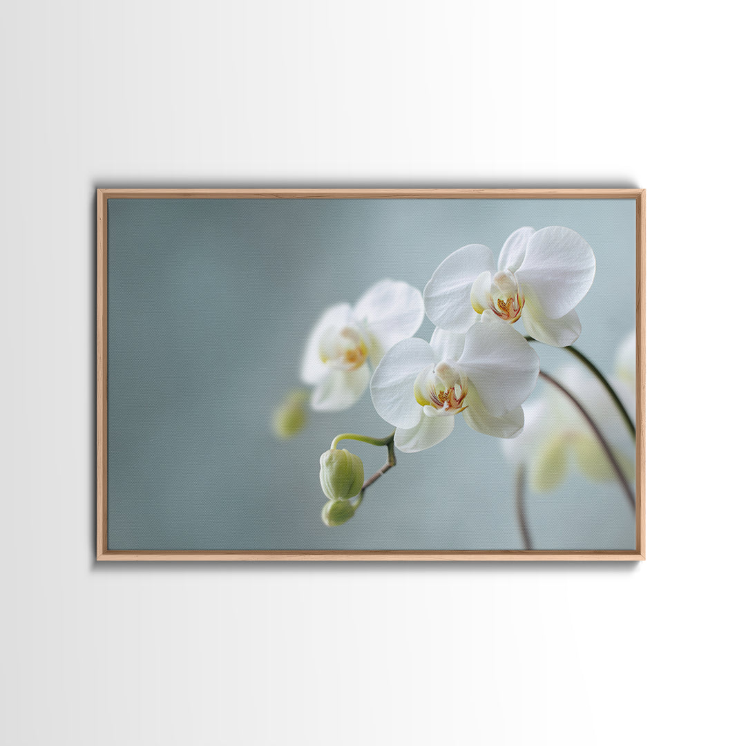White Orchid on Light Gray Ground Canvas Print, Waiting Room Art, Digital Art Print, Waiting Room Decor, Fine Art, Calm, WRA-3x2-11