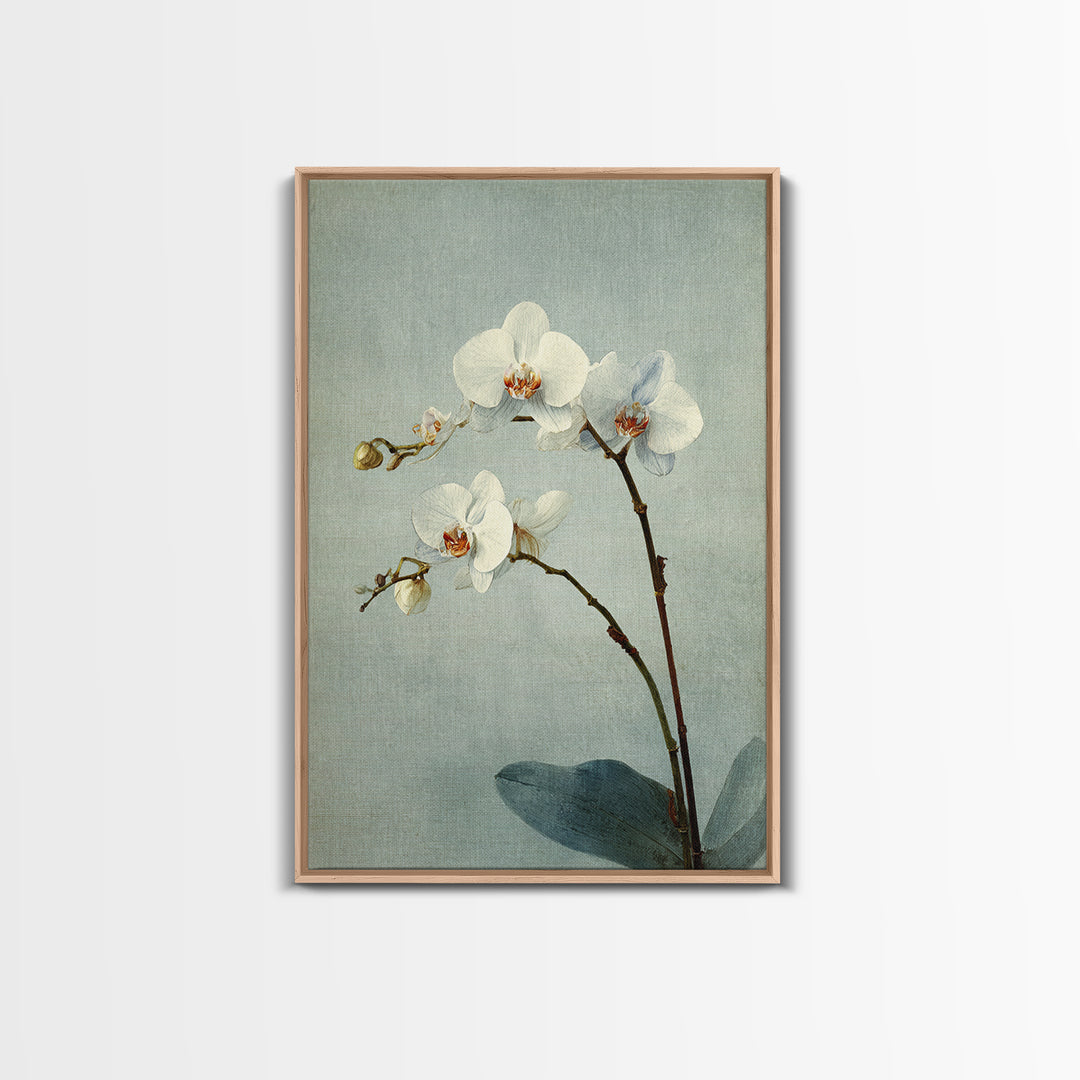 Single Orchid Stem Canvas Print, Zen Art, Art, Living Room Decor, Fine Art, Zen, Garden Art, Japanese Wall Art, Boho Wall Decor, ZEN-2x3-7