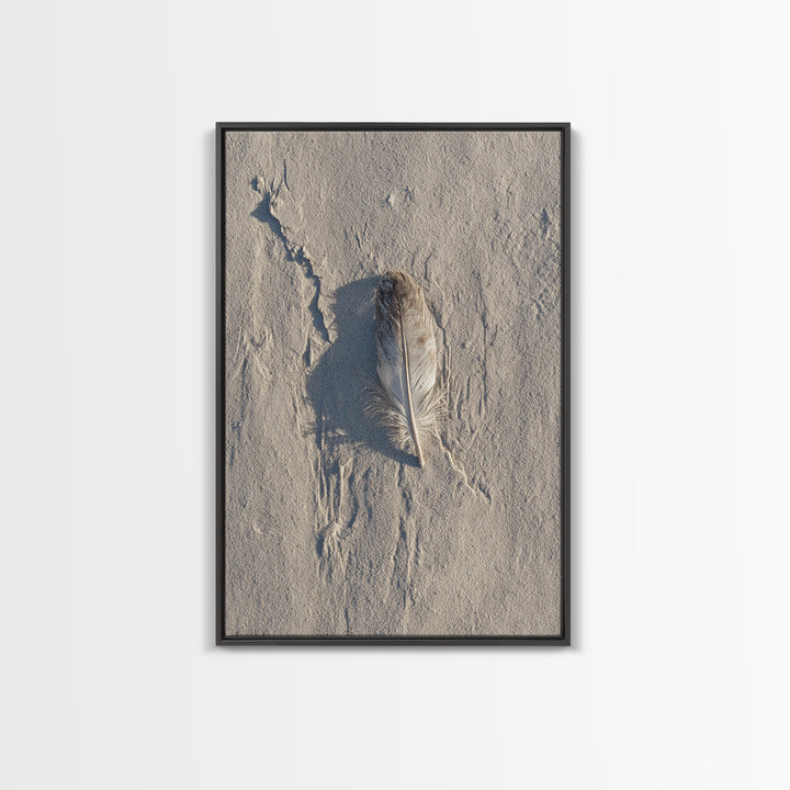 Beach Sand With Single Feather Close Up Minimalist Nature Photography Wall Art Print For Coastal Home Decor Framed Canvas Print