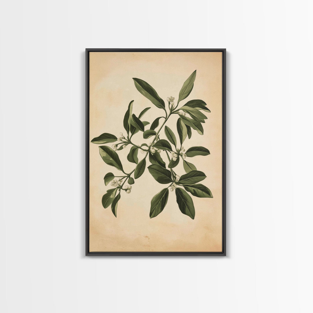 Mistletoe Canvas Print - Framed Canvas - Minimalist Christmas Art - Boho Christmas Art - Rustic Christmas Art