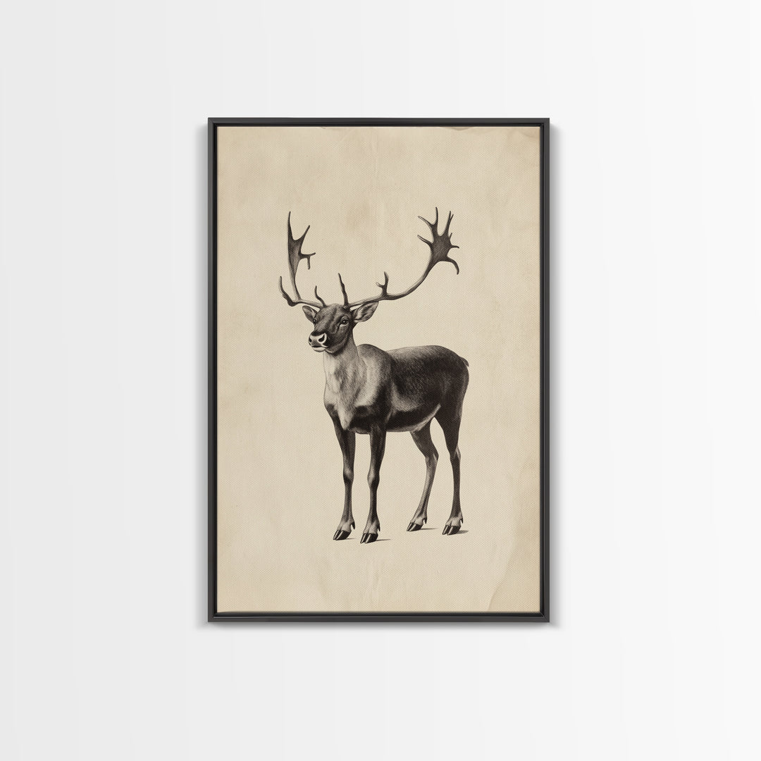 Reindeer Canvas Print - Framed Canvas - Minimalist Christmas Art - Boho Christmas Art - Rustic Christmas Art