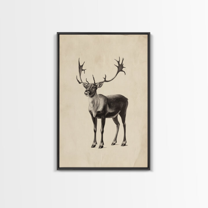 Reindeer Canvas Print - Framed Canvas - Minimalist Christmas Art - Boho Christmas Art - Rustic Christmas Art