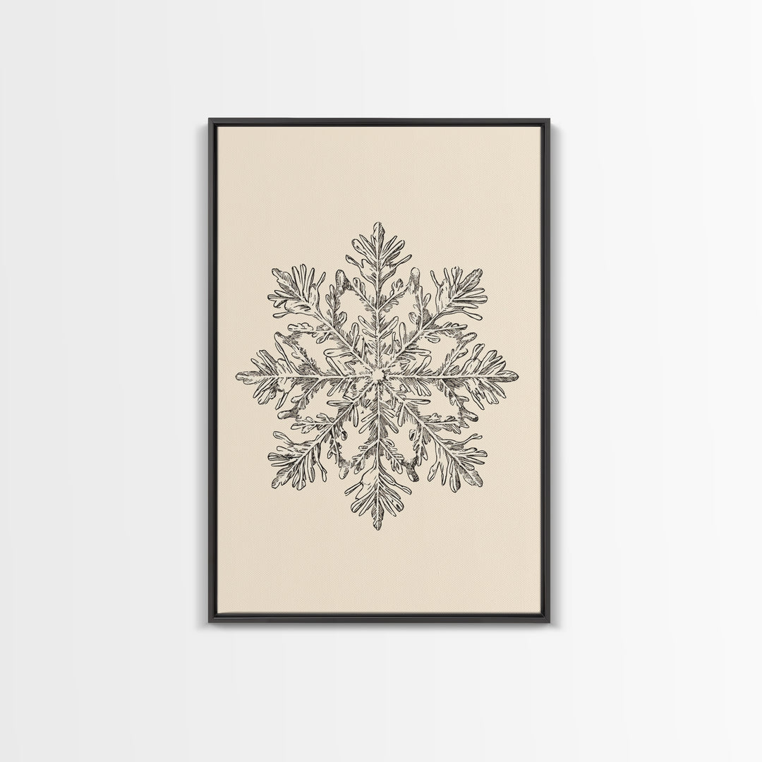 Sketch of a Snowflake Canvas Print - Framed Canvas - Minimalist Christmas Art - Boho Christmas Art - Rustic Christmas Art