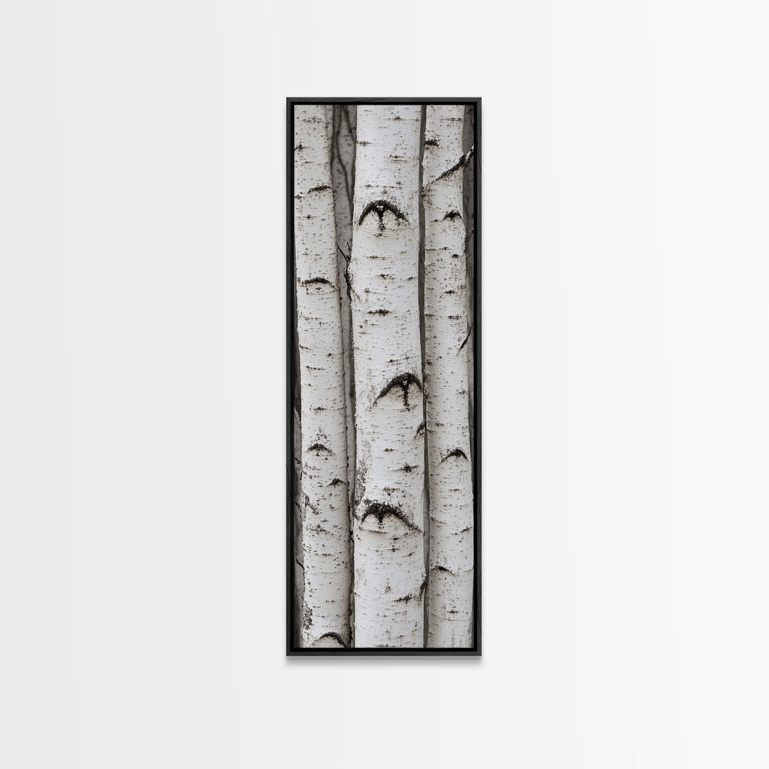 Classic Birch Trees Black and White Wall Art Framed Canvas Print Rustic Farmhouse Art Tall Narrow Art Guest Room Decor