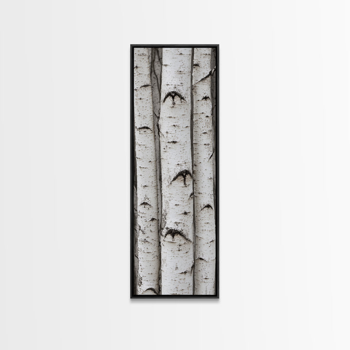 Classic Birch Trees Black and White Wall Art Framed Canvas Print Rustic Farmhouse Art Tall Narrow Art Guest Room Decor