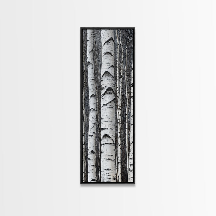 Birch Tree Forest Framed Canvas Print Rustic Nature Wall Art Farmhouse Rustic Bedroom or Living Room Decor
