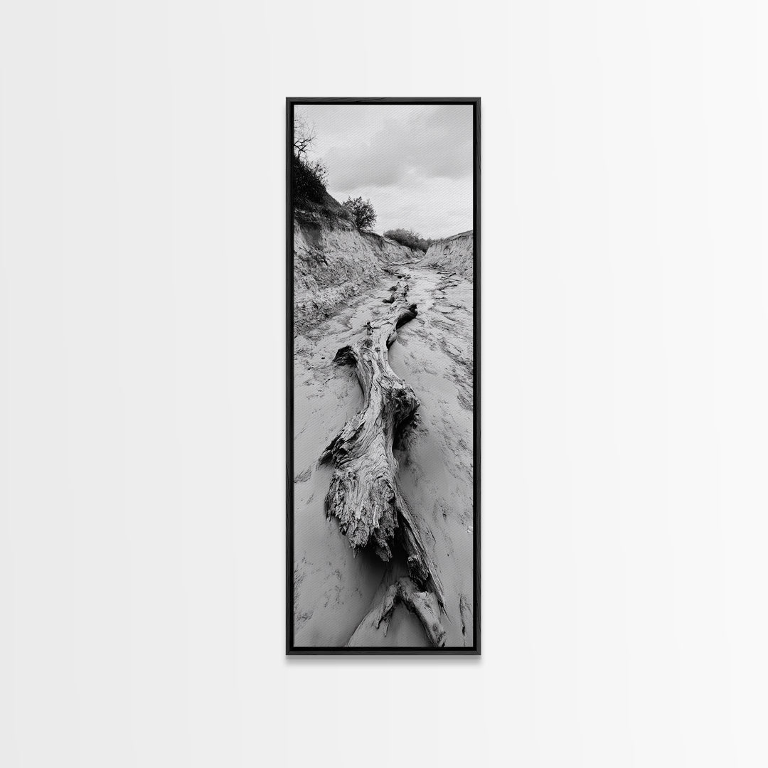 Driftwood, Nature Path, Earthy Decor, Rustic Home Style, Framed Canvas Print, Living Room Wall Art, Natural Landscape Photography