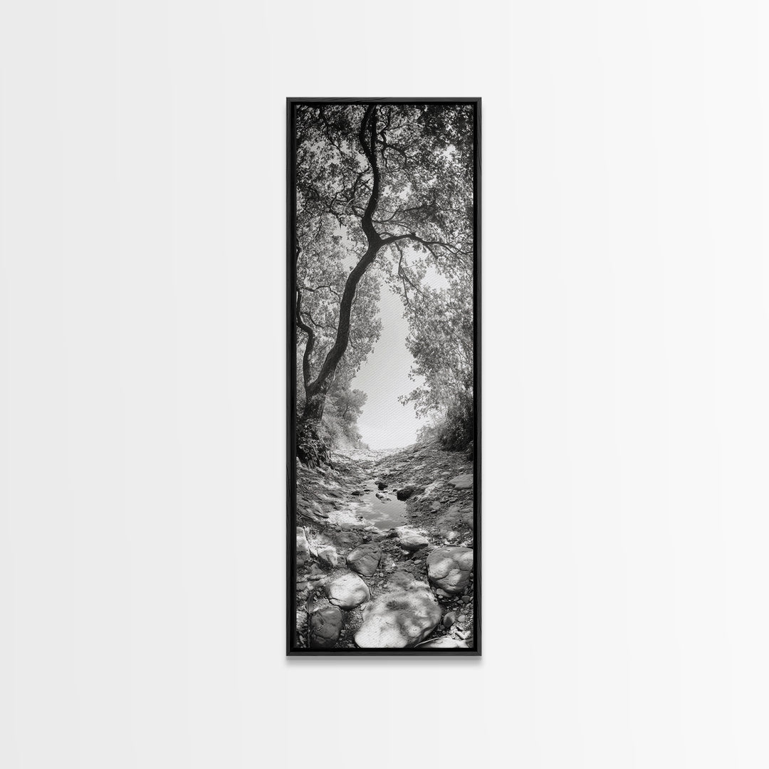 Forest Path, Rock Creek, Canopy Light, Calm Nature Scene, Canvas Print, Entryway Wall Art, Tranquil Minimalist Landscape Print