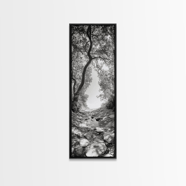 Forest Path, Rock Creek, Canopy Light, Calm Nature Scene, Canvas Print, Entryway Wall Art, Tranquil Minimalist Landscape Print