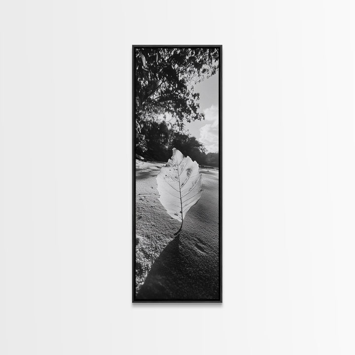 Autumn Leaf Beach, Fall Nature Scene, Minimal Wall Decor, Framed Canvas Print, Seasonal Bedroom Art, Black and White Photography