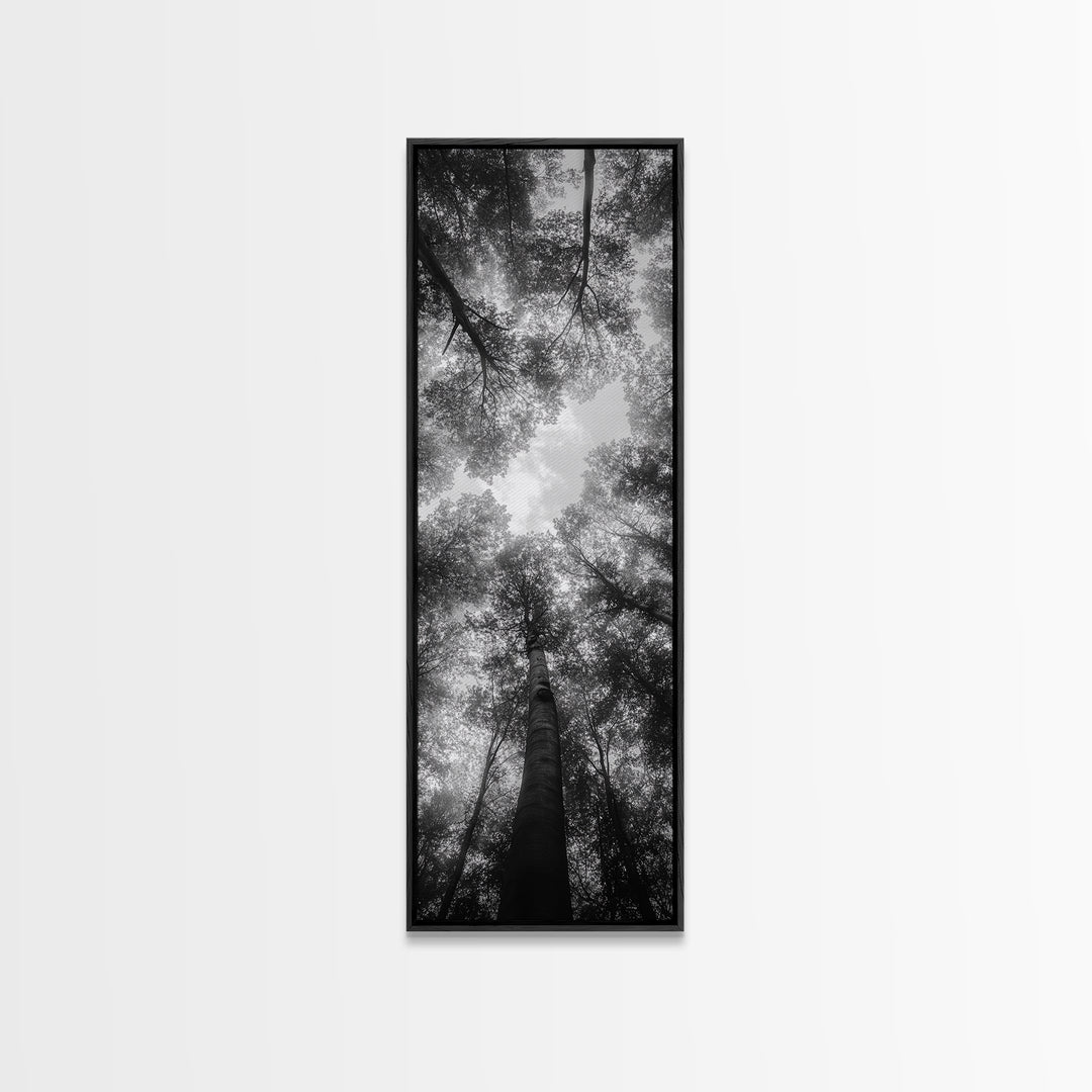 Forest Canopy, Nature Perspective, Tranquil Trees, Black and White, Framed Canvas Print, Cabin Wall Art, Scandinavian Decor, Minimalist Style