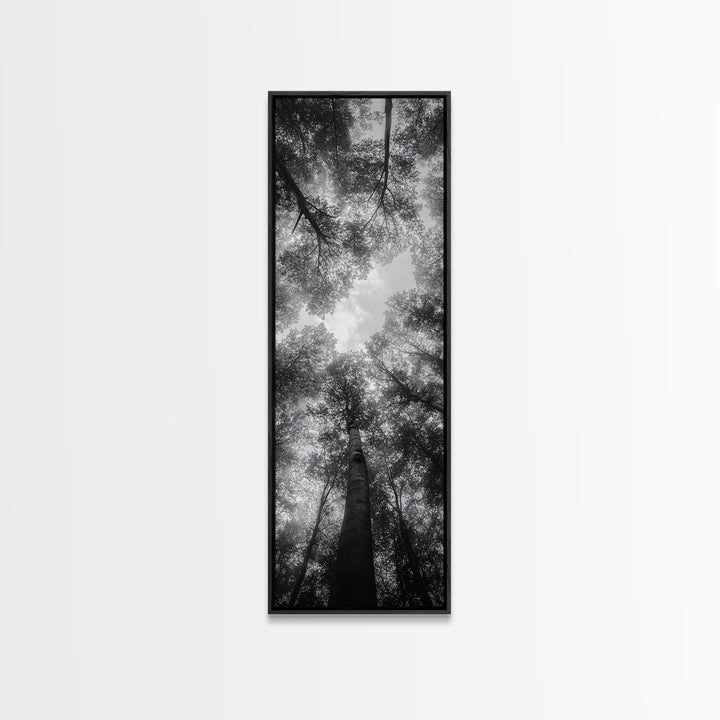 Forest Canopy, Nature Perspective, Tranquil Trees, Black and White, Framed Canvas Print, Cabin Wall Art, Scandinavian Decor, Minimalist Style