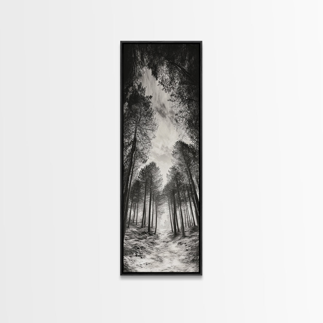Pine Forest, Nature Path, Tree Canopy, Tranquil Woods, Canvas Print, Forest Wall Art, Minimalist Nature Decor, Meditation Room Artwork
