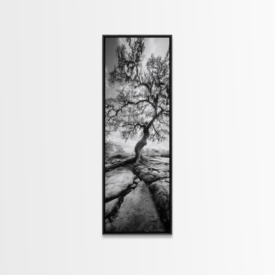 Wisdom Oak Tree, Forest Roots, Ancient Energy, Framed Canvas Print, Rustic Living Room Wall Art, Nature Inspired, Boho Woodland Art