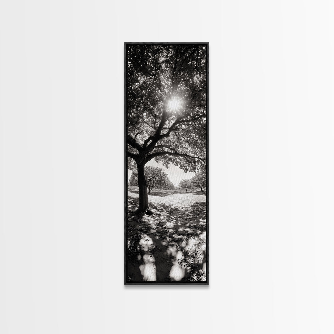 Sunlight Tree, Autumn Glow, Nature Shadowplay, Black White Forest Scene, Canvas Print, Fall Living Room Art, Boho Earthy Wall Decor