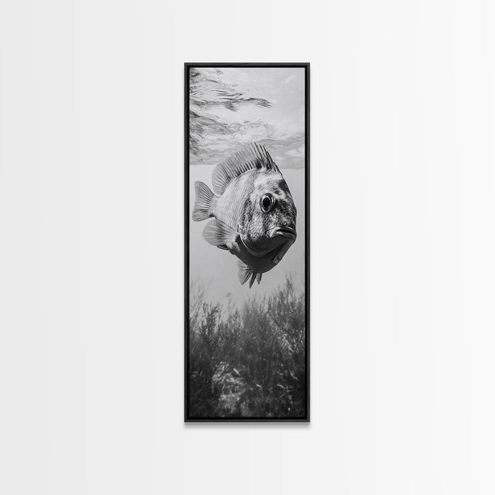 Underwater Fish, Ocean Life, Marine Focus, Canvas Print, Coastal Kitchen Wall Art, Modern Aquarium Decor, Minimalist Ocean Photography
