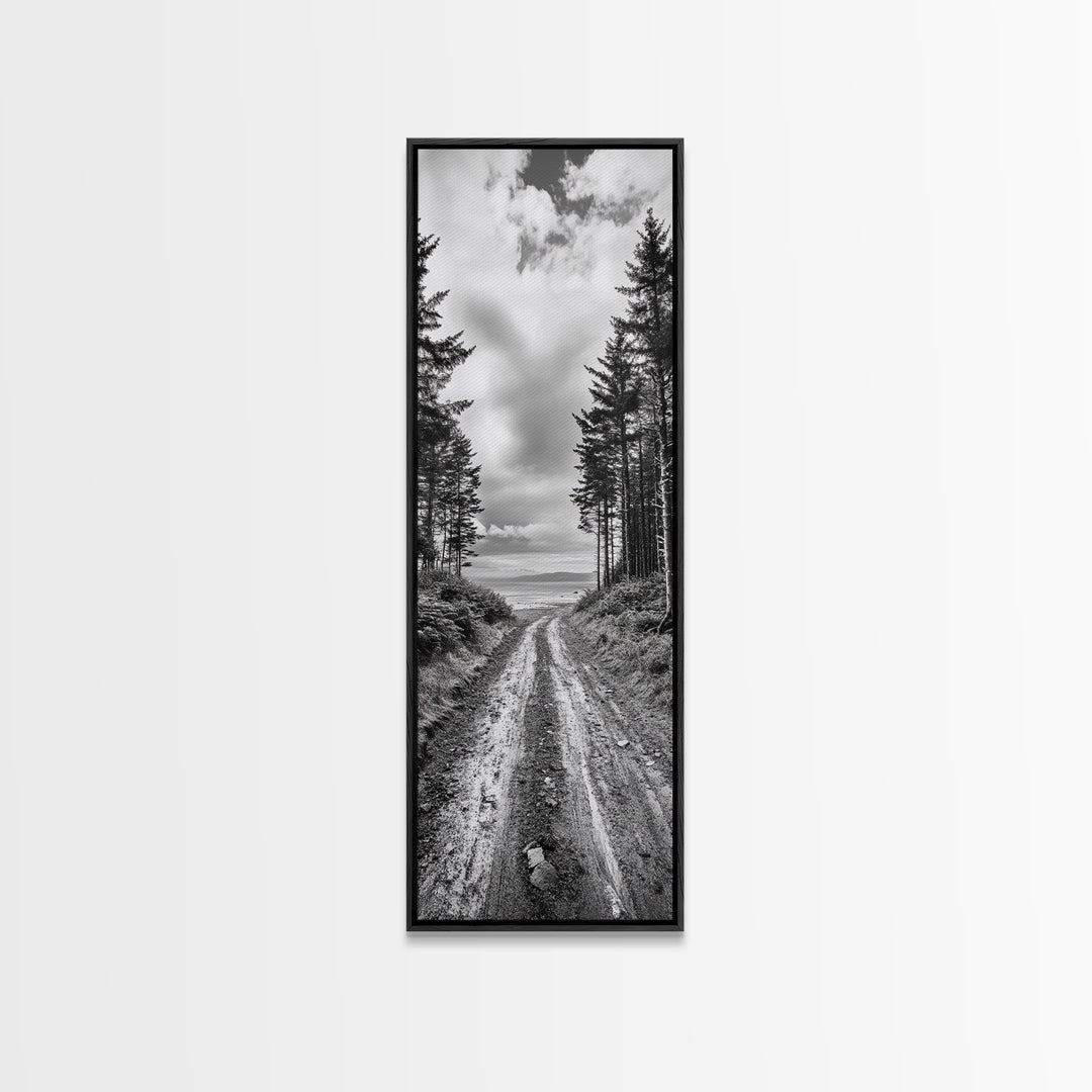 Coastal Forest Path, Nature Trail, Ocean View, Black and White, Framed Canvas Print, Entryway Wall Art, Rustic Decor, Landscape Photography