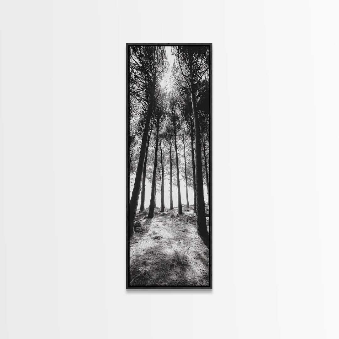 Pine Forest Glow, Woodland Landscape, Monochrome Nature, Boho Style, Framed Canvas Print, Entryway Print, Living Room Wall Art, Game Room Art