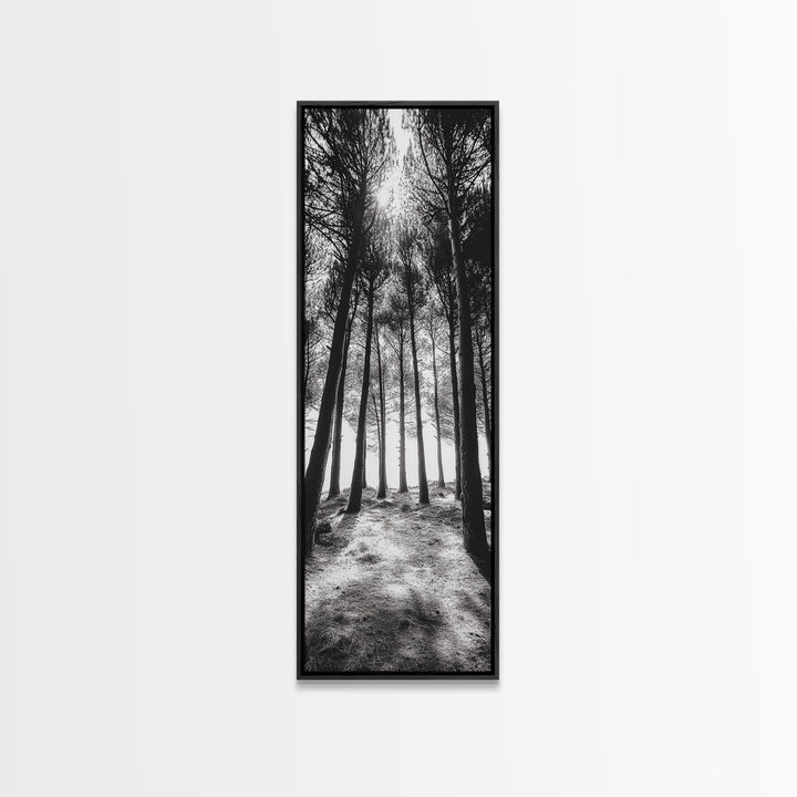 Pine Forest Glow, Woodland Landscape, Monochrome Nature, Boho Style, Framed Canvas Print, Entryway Print, Living Room Wall Art, Game Room Art