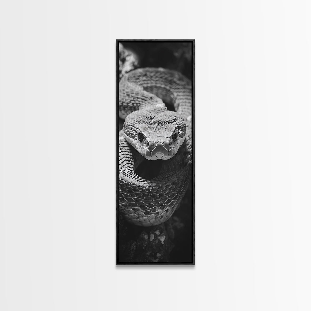 Coiled Snake, Wild Reptile, Black and White Snake, Fierce Eyes, Framed Canvas Print, Nature Lover Wall Art, Masculine Office Decor