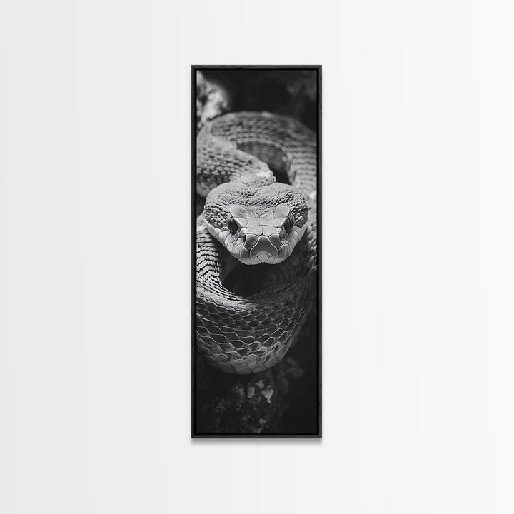 Coiled Snake, Wild Reptile, Black and White Snake, Fierce Eyes, Framed Canvas Print, Nature Lover Wall Art, Masculine Office Decor