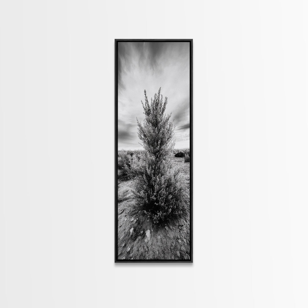 Desert Tree, Nature Minimalism, Solitary Landscape, Framed Canvas Print, Living Room Wall Art, Earth Tone Art, Tranquil Modern Decor