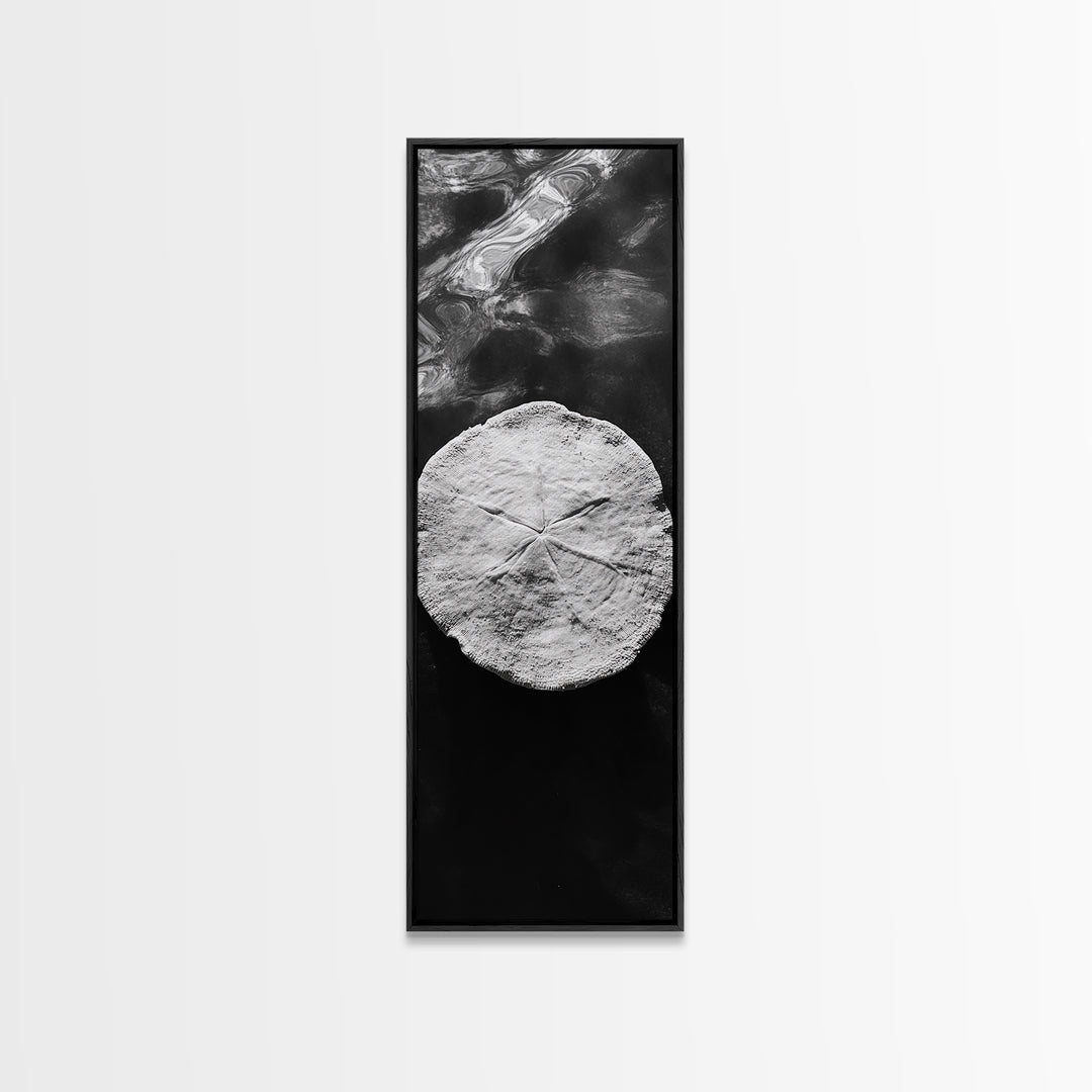 Sand Dollar Print, Minimalist Beach Decor, Sea Shell Wall Art, Coastal Bathroom or Nursery Style, Framed Canvas Print, Ocean Texture