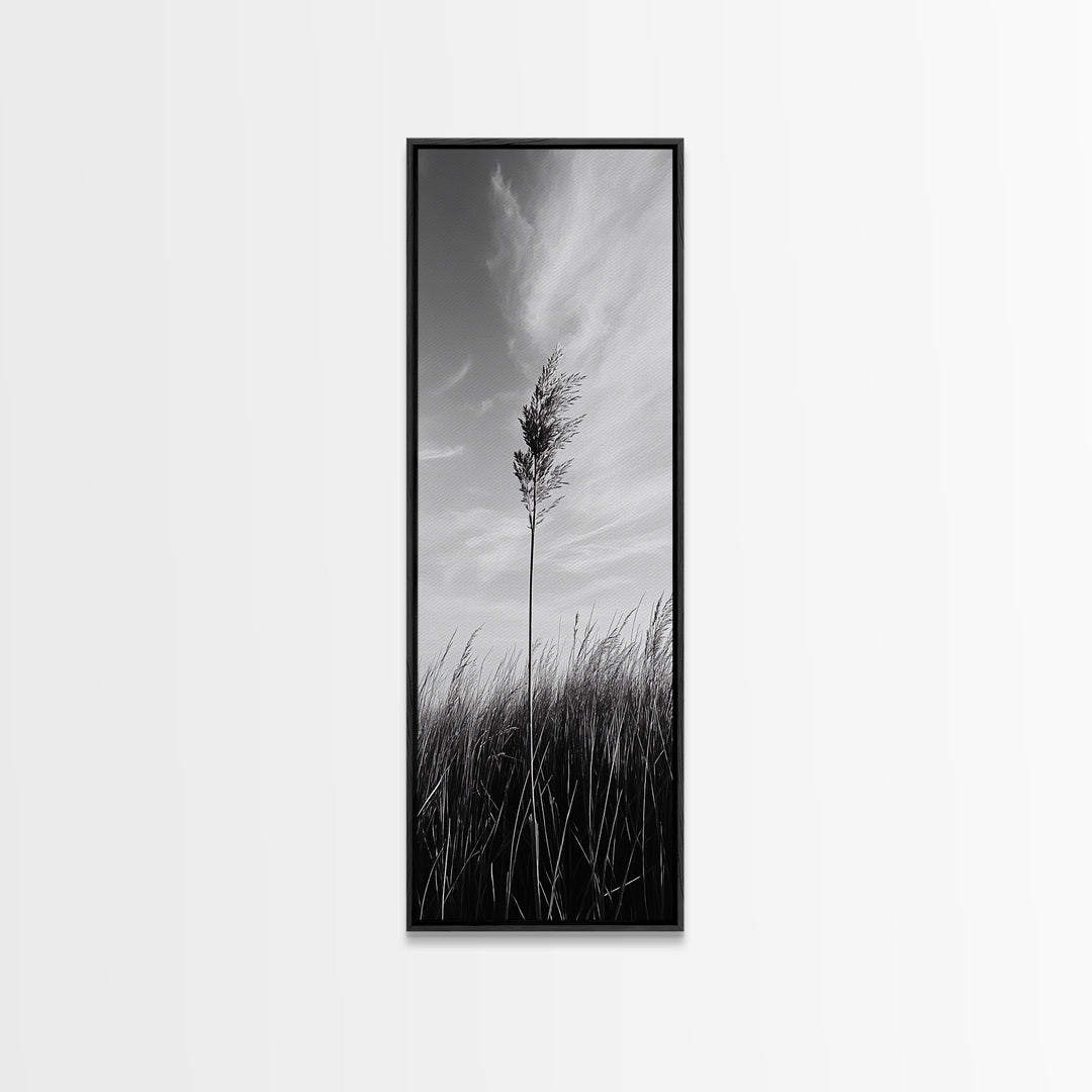 Solitary Grass Print, Minimalist Field Art, Tall Grass Photography, Rustic Bedroom Wall Decor, Framed Canvas Print, Fall Nature Vibe