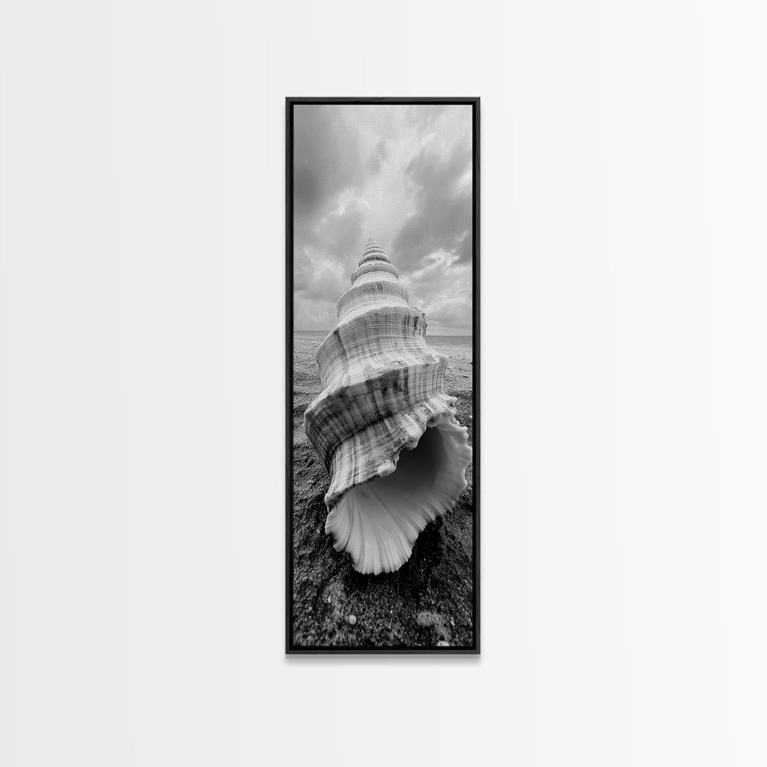 Shell Closeup, Ocean Texture, Natural Spiral, Minimalist Shell, Seashell Photography Framed Canvas Print, Coastal Kitchen Wall Art