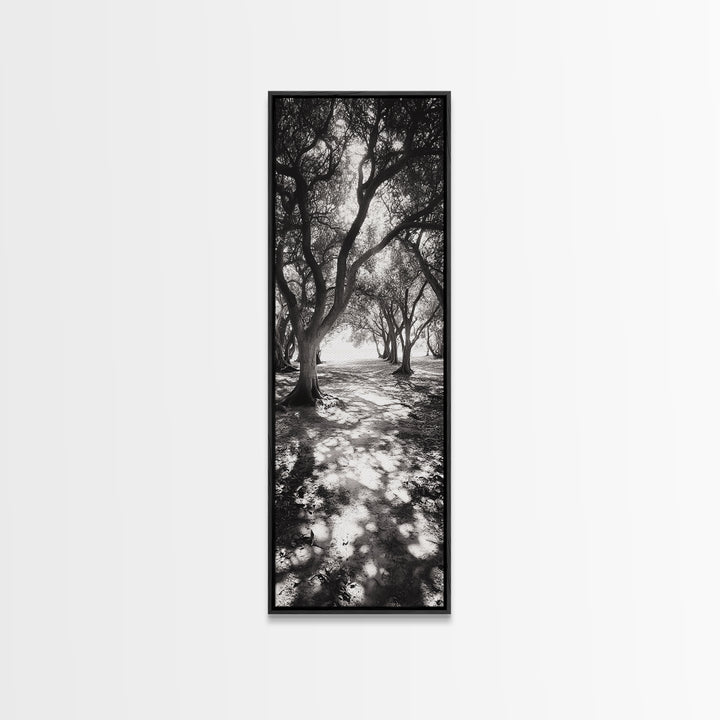 Tree Shadows, Woodland Light, Forest Stroll, Peaceful Canopy, Dappled Light Canvas Print, Cozy Living Room Wall Art, Autumn Decor
