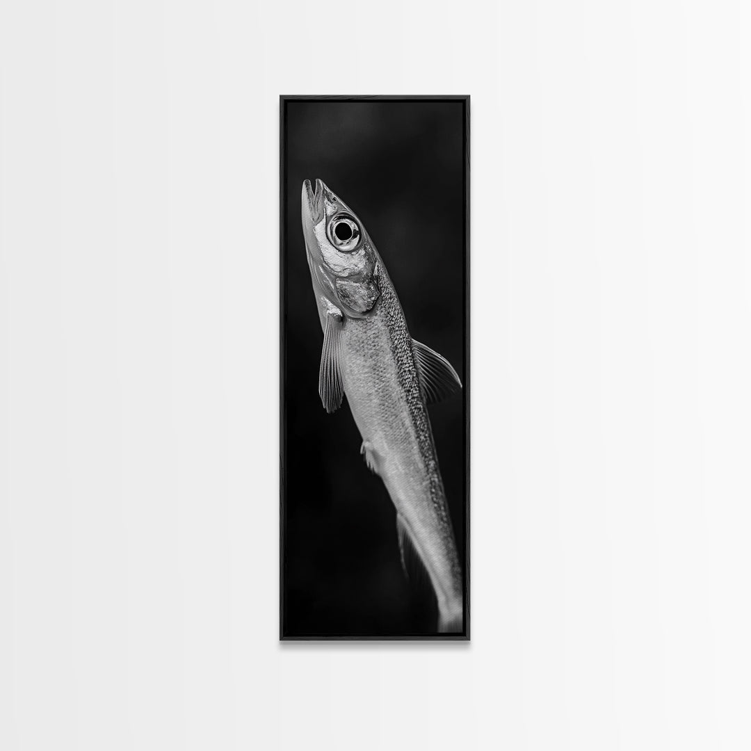 Silver Fish, Minimal Animal, Ocean Catch, Framed Canvas Print, Kitchen Wall Art, Nature Inspired Decor, Monochrome Sea Life