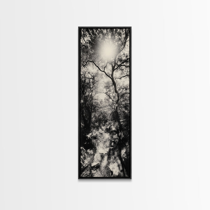 Forest Path, Sunburst Trees, Woodland Trail, Nature Light Framed Canvas Print, Boho Entryway Wall Art, Autumn Rustic Home Decor