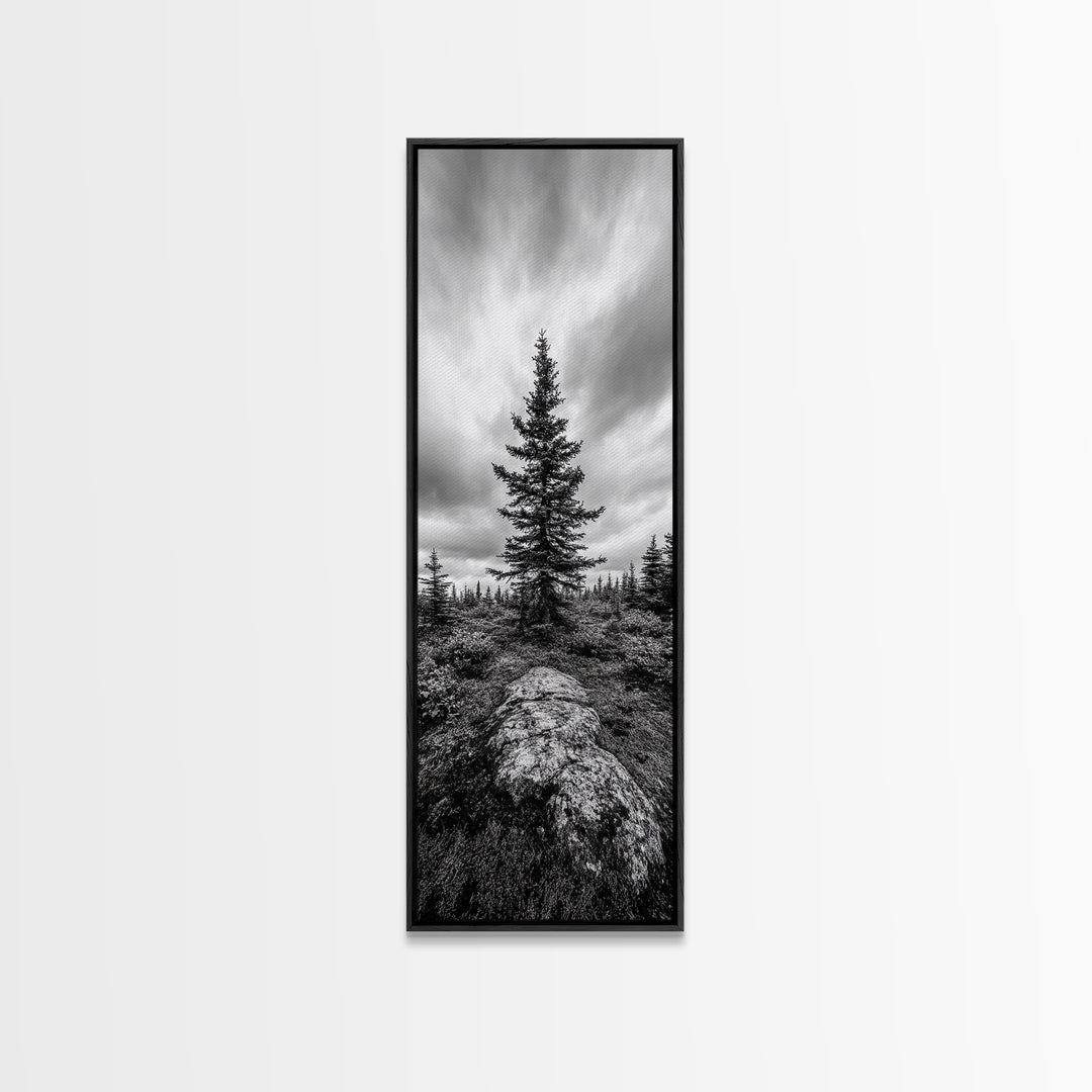 Lone Pine Tree, Forest Mood, Wilderness Art, Framed Canvas Print, Minimalist Wall Decor, Cabin Art, Neutral Fall Tones, Nature Lover Gift