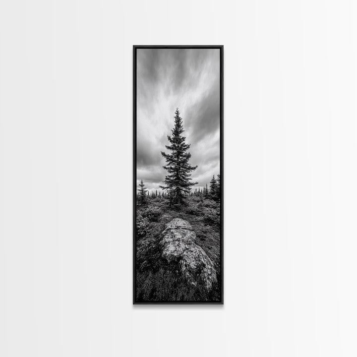 Lone Pine Tree, Forest Mood, Wilderness Art, Framed Canvas Print, Minimalist Wall Decor, Cabin Art, Neutral Fall Tones, Nature Lover Gift