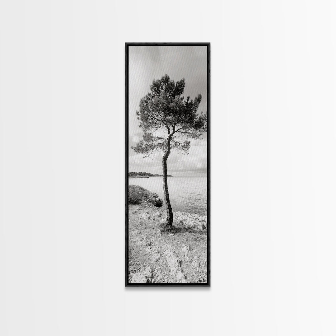 Coastal Tree, Seaside Calm, Lone Pine, Framed Canvas Print, Neutral Wall Art, Minimalist Decor, Nature Inspired Bedroom Print