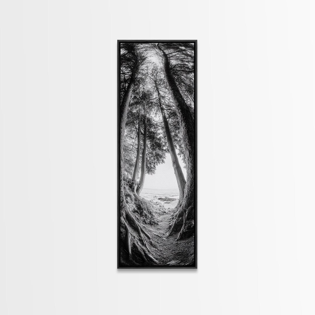 Forest Path, Ocean View, Tall Trees, Canvas Print, Black and White Nature Art, Entryway Wall Art, Rustic Woodland Aesthetic, Bedroom Wall Art