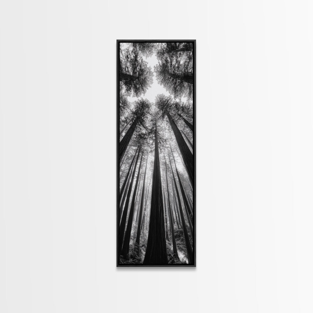 Redwood Forest, Sunlight Trees, Nature Canopy, Canvas Print, Serene Woodland Art, Cabin Wall Decor, Black and White Forest Art, Bedroom Wall Art